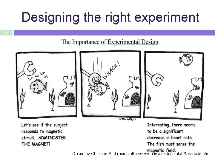 Designing the right experiment 4 Comic by Christine Ambrosino http: //www. hawaii. edu/fishlab/Nearside. htm