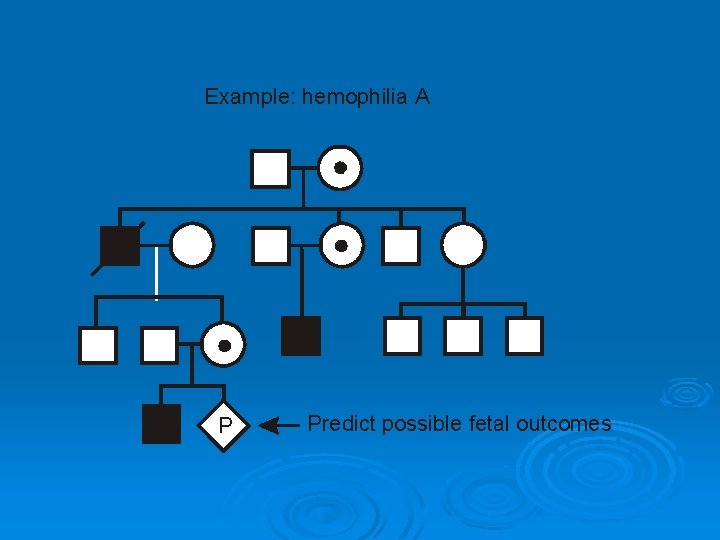 Example: hemophilia A P Predict possible fetal outcomes 