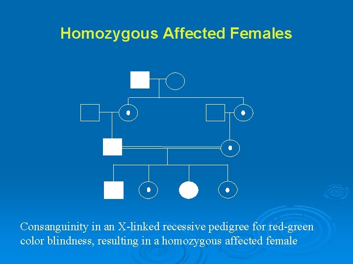 Homozygous Affected Females Consanguinity in an X-linked recessive pedigree for red-green color blindness, resulting