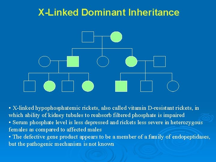 X-Linked Dominant Inheritance • X-linked hypophosphatemic rickets, also called vitamin D-resistant rickets, in which