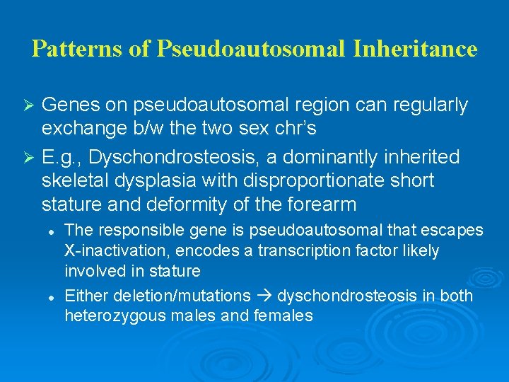 Patterns of Pseudoautosomal Inheritance Genes on pseudoautosomal region can regularly exchange b/w the two