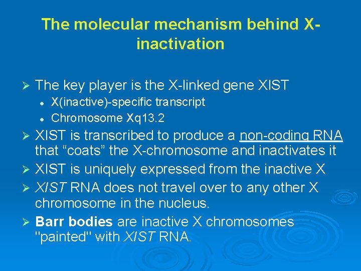 The molecular mechanism behind Xinactivation Ø The key player is the X-linked gene XIST