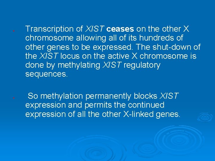 ¤ ¤ Transcription of XIST ceases on the other X chromosome allowing all of