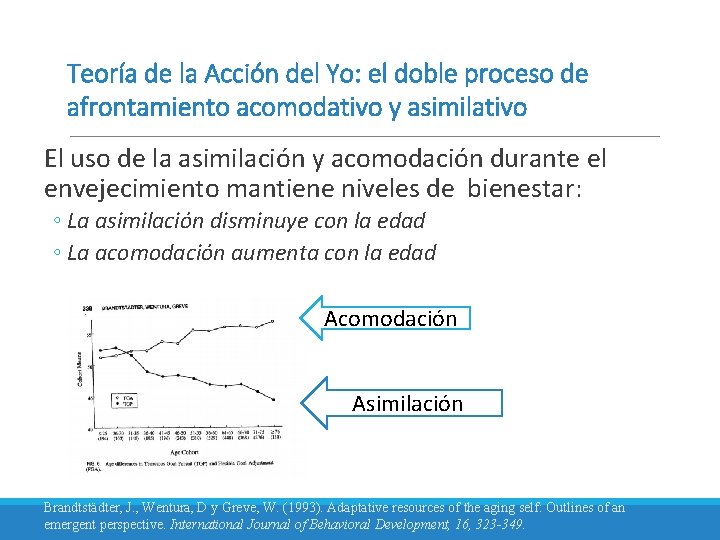 Teoría de la Acción del Yo: el doble proceso de afrontamiento acomodativo y asimilativo