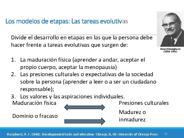 Los modelos de etapas: Las tareas evolutivas Divide el desarrollo en etapas en las