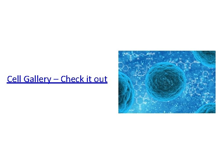 Check it out Cell Gallery – Check it out 