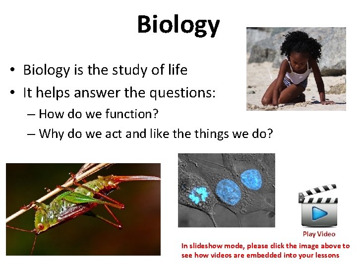 Biology • Biology is the study of life • It helps answer the questions: