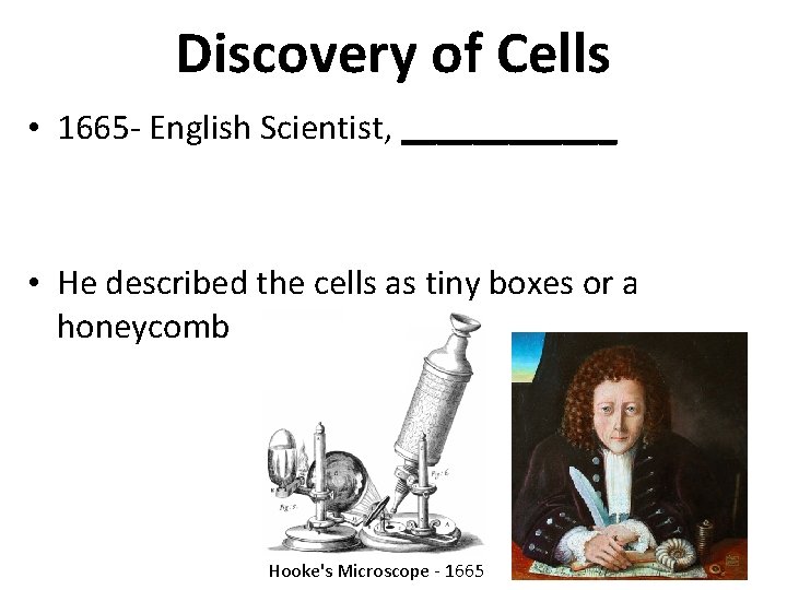 Discovery of Cells • 1665 - English Scientist, ______ • He described the cells