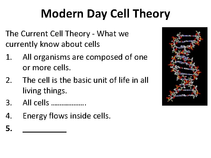 Modern Day Cell Theory The Current Cell Theory - What we currently know about