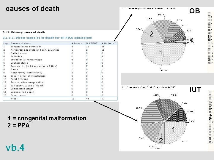 causes of death OB 2 1 IUT 1 = congenital malformation 2 = PPA