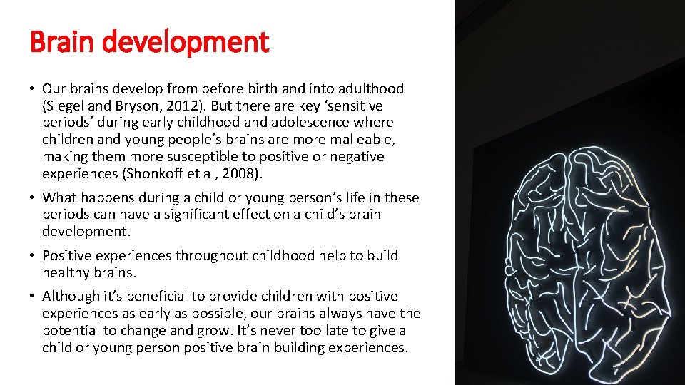 Brain development • Our brains develop from before birth and into adulthood (Siegel and