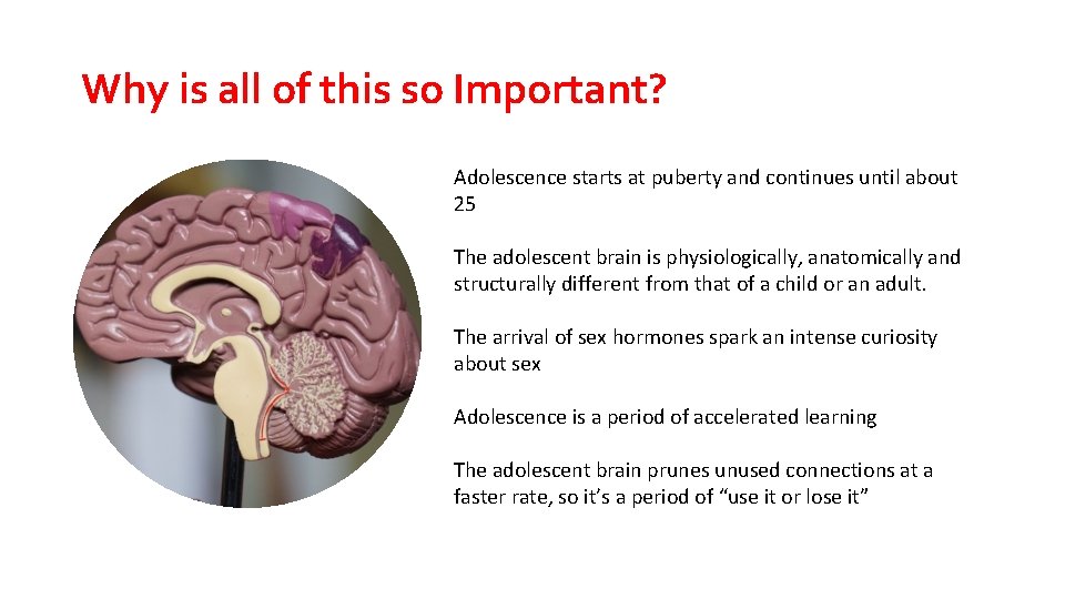 Why is all of this so Important? Adolescence starts at puberty and continues until