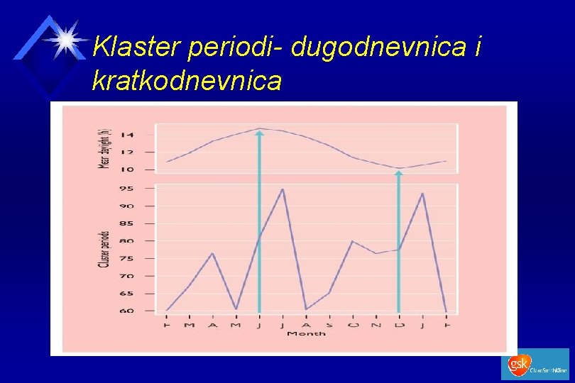 Klaster periodi- dugodnevnica i kratkodnevnica 