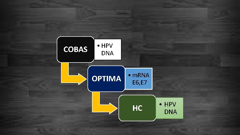 COBAS • HPV DNA OPTIMA • m. RNA E 6, E 7 HC •