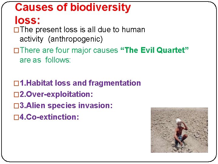 Causes of biodiversity loss: �The present loss is all due to human activity (anthropogenic)