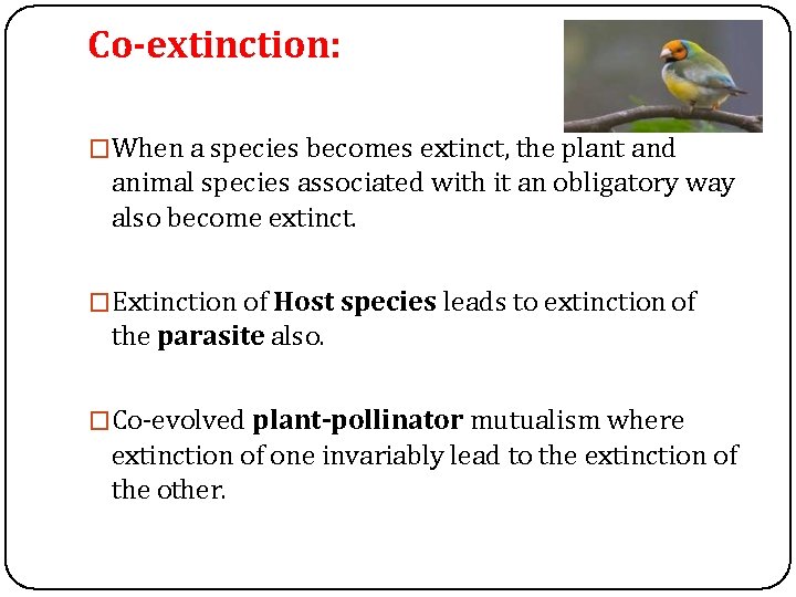 Co-extinction: �When a species becomes extinct, the plant and animal species associated with it