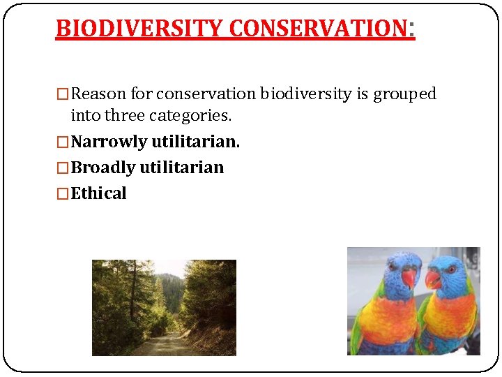 BIODIVERSITY CONSERVATION: �Reason for conservation biodiversity is grouped into three categories. �Narrowly utilitarian. �Broadly