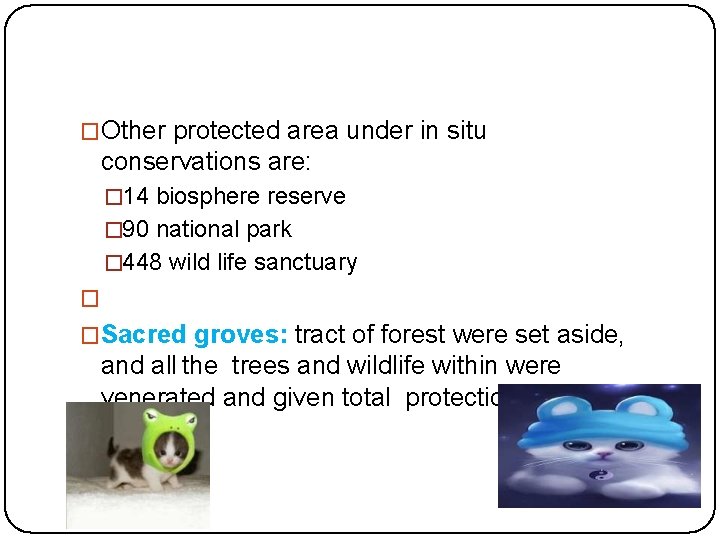 �Other protected area under in situ conservations are: � 14 biosphere reserve � 90