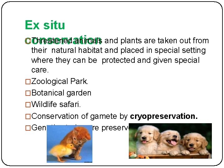 Ex situ � Threatened animals and plants are taken out from conservation their natural
