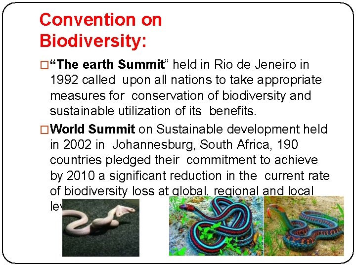 Convention on Biodiversity: �“The earth Summit” held in Rio de Jeneiro in 1992 called