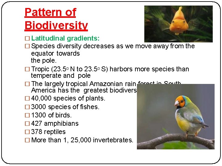 Pattern of Biodiversity � Latitudinal gradients: � Species diversity decreases as we move away