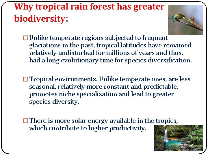 Why tropical rain forest has greater biodiversity: �Unlike temperate regions subjected to frequent glaciations