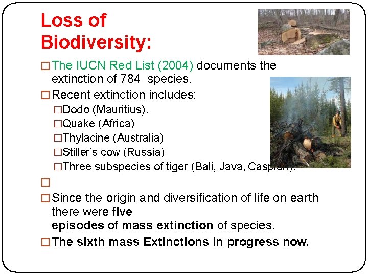 Loss of Biodiversity: �The IUCN Red List (2004) documents the extinction of 784 species.