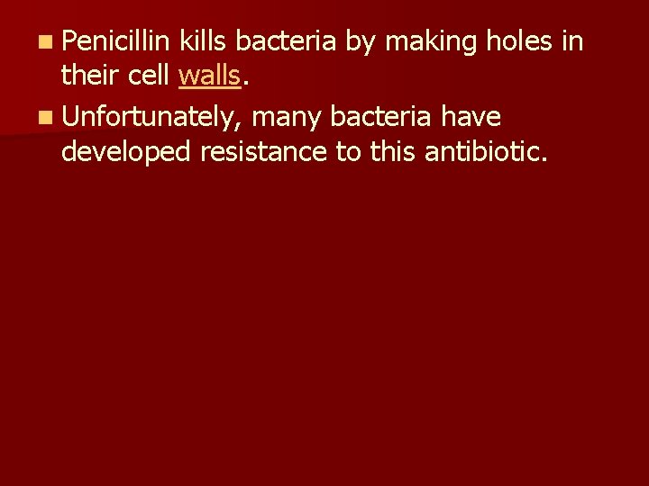 n Penicillin kills bacteria by making holes in their cell walls. n Unfortunately, many