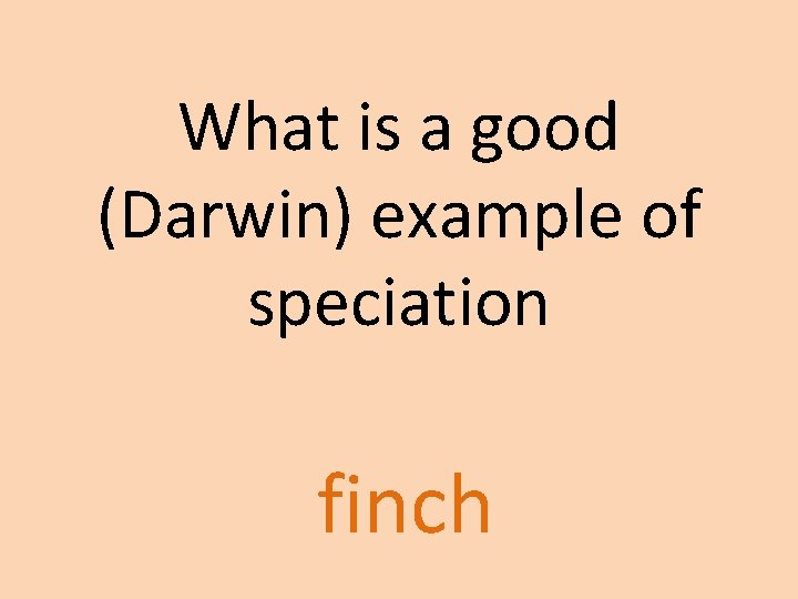 What is a good (Darwin) example of speciation finch What is a good (Darwin) example of speciation finch