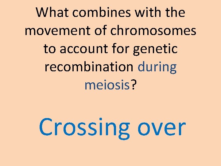 What combines with the movement of chromosomes to account for genetic recombination during meiosis? What combines with the movement of chromosomes to account for genetic recombination during meiosis?