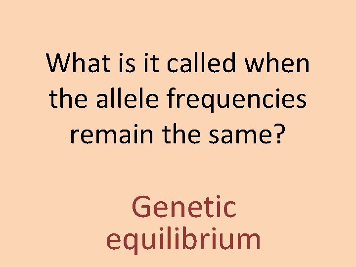 What is it called when the allele frequencies remain the same? Genetic equilibrium What is it called when the allele frequencies remain the same? Genetic equilibrium