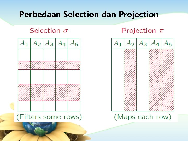 Perbedaan Selection dan Projection 