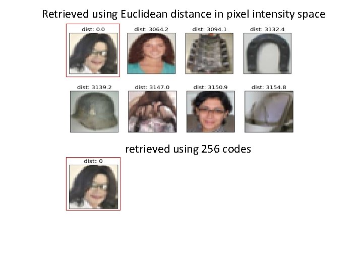 Retrieved using Euclidean distance in pixel intensity space retrieved using 256 codes Retrieved using Euclidean distance in pixel intensity space retrieved using 256 codes