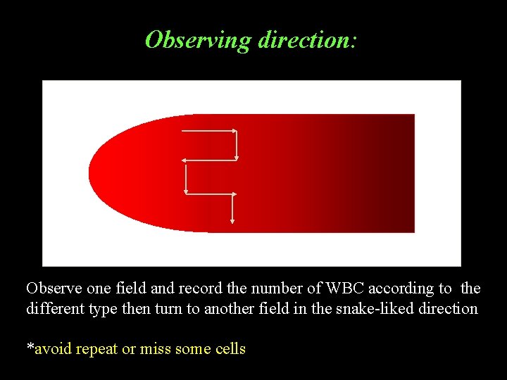 Observing direction: Observe one field and record the number of WBC according to the