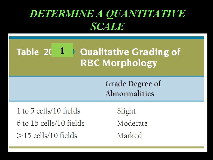 DETERMINE A QUANTITATIVE SCALE 1 