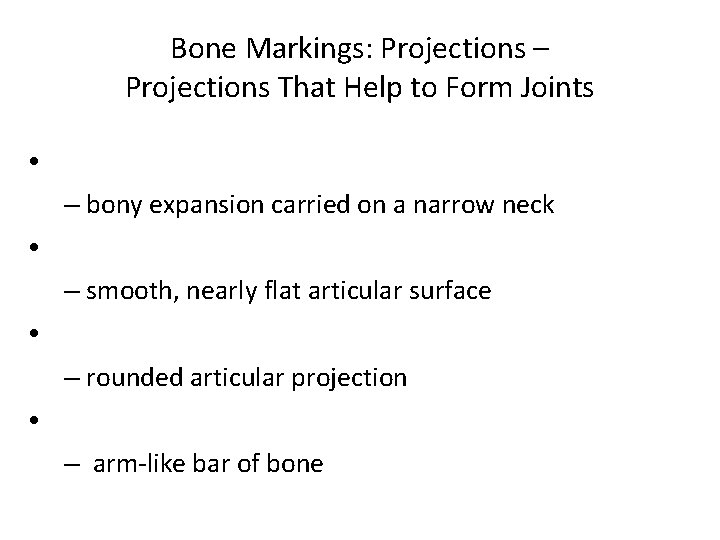 Bone Markings: Projections – Projections That Help to Form Joints • – bony expansion Bone Markings: Projections – Projections That Help to Form Joints • – bony expansion