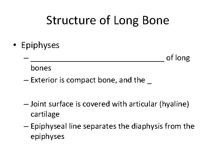 Structure of Long Bone • Epiphyses – ________________ of long bones – Exterior is Structure of Long Bone • Epiphyses – ________________ of long bones – Exterior is
