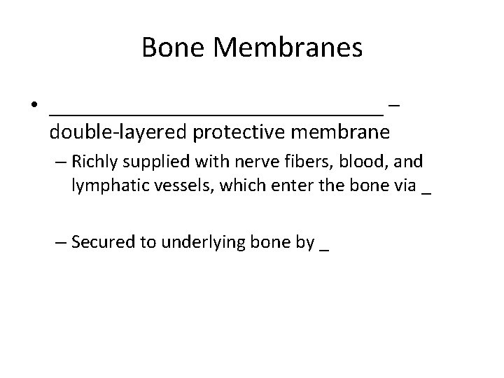 Bone Membranes • _______________ – double-layered protective membrane – Richly supplied with nerve fibers, Bone Membranes • _______________ – double-layered protective membrane – Richly supplied with nerve fibers,
