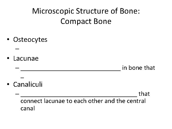 Microscopic Structure of Bone: Compact Bone • Osteocytes – • Lacunae – _______________ in Microscopic Structure of Bone: Compact Bone • Osteocytes – • Lacunae – _______________ in