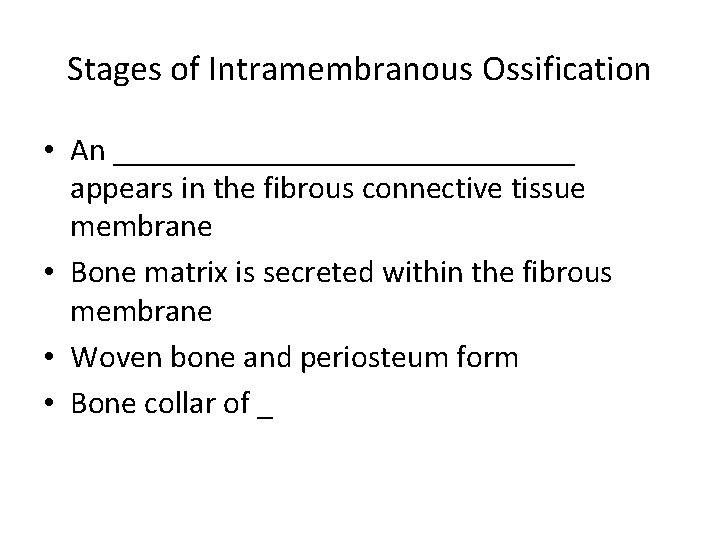 Stages of Intramembranous Ossification • An _______________ appears in the fibrous connective tissue membrane Stages of Intramembranous Ossification • An _______________ appears in the fibrous connective tissue membrane