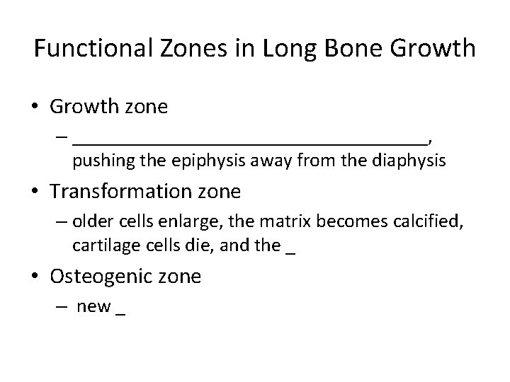 Functional Zones in Long Bone Growth • Growth zone – __________________, pushing the epiphysis Functional Zones in Long Bone Growth • Growth zone – __________________, pushing the epiphysis