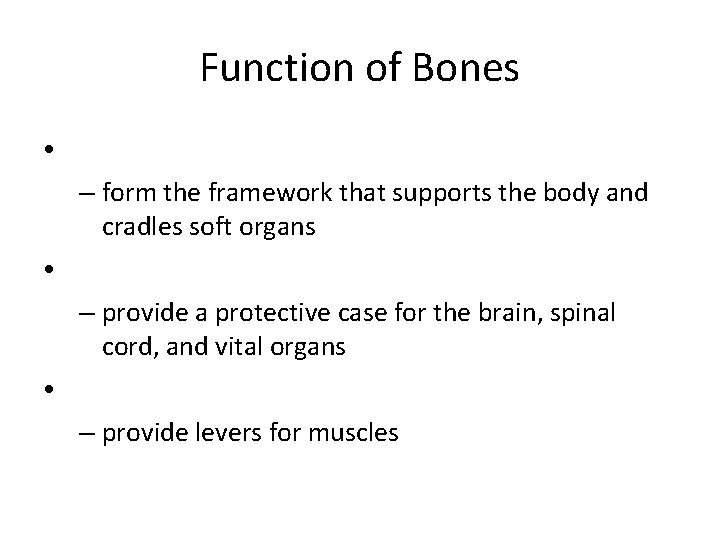 Function of Bones • – form the framework that supports the body and cradles Function of Bones • – form the framework that supports the body and cradles
