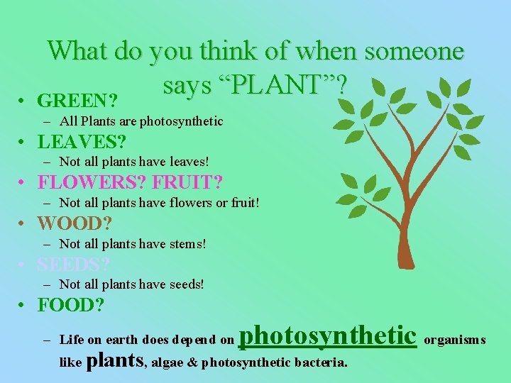  • What do you think of when someone says “PLANT”? GREEN? – All