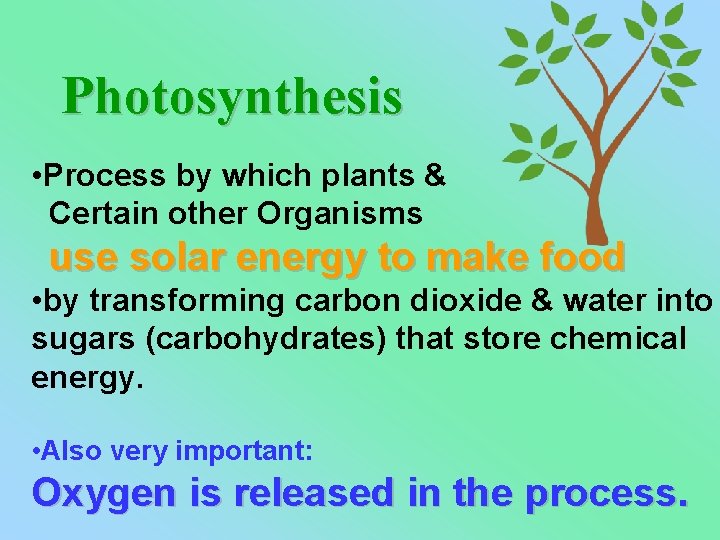 Photosynthesis • Process by which plants & Certain other Organisms use solar energy to