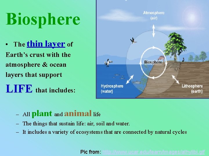 Biosphere • The thin layer of Earth’s crust with the atmosphere & ocean layers