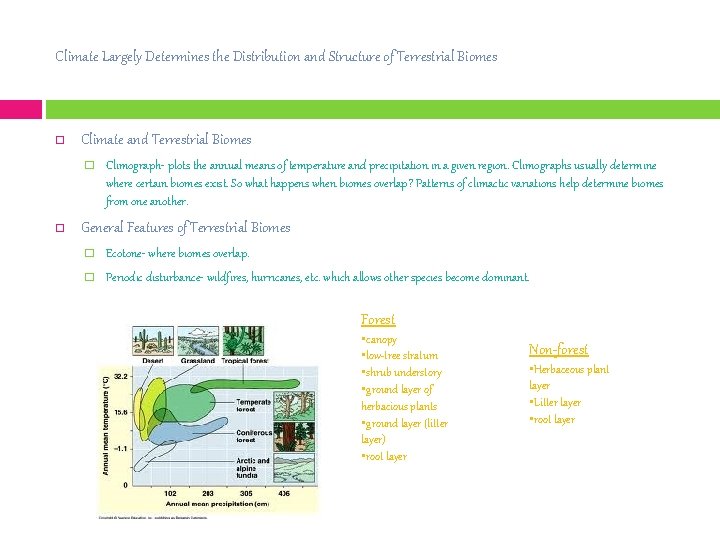 Climate Largely Determines the Distribution and Structure of Terrestrial Biomes Climate and Terrestrial Biomes