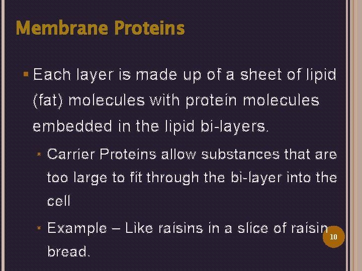 Membrane Proteins § Each layer is made up of a sheet of lipid (fat)