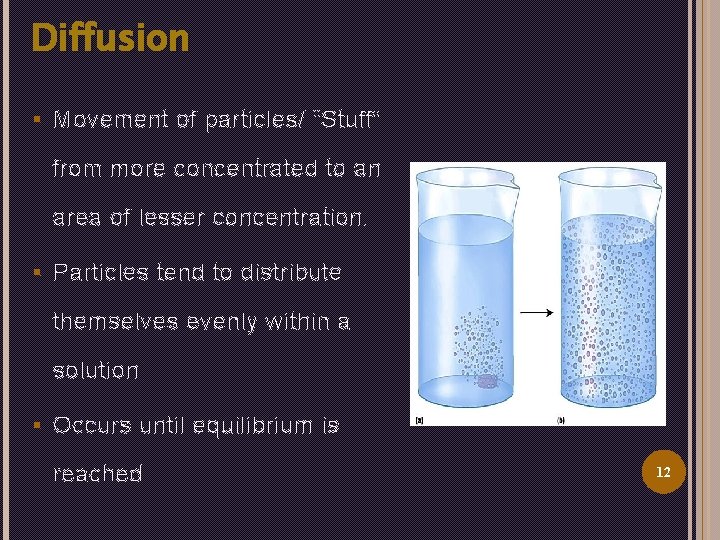 Diffusion § Movement of particles/ “Stuff” from more concentrated to an area of lesser
