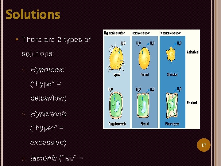 Solutions § There are 3 types of solutions: 1. Hypotonic (“hypo” = below/low) 2.