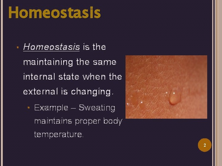Homeostasis § Homeostasis is the maintaining the same internal state when the external is